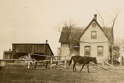 Farmhouse with horse, circa 1910, not the Barmans' farm.